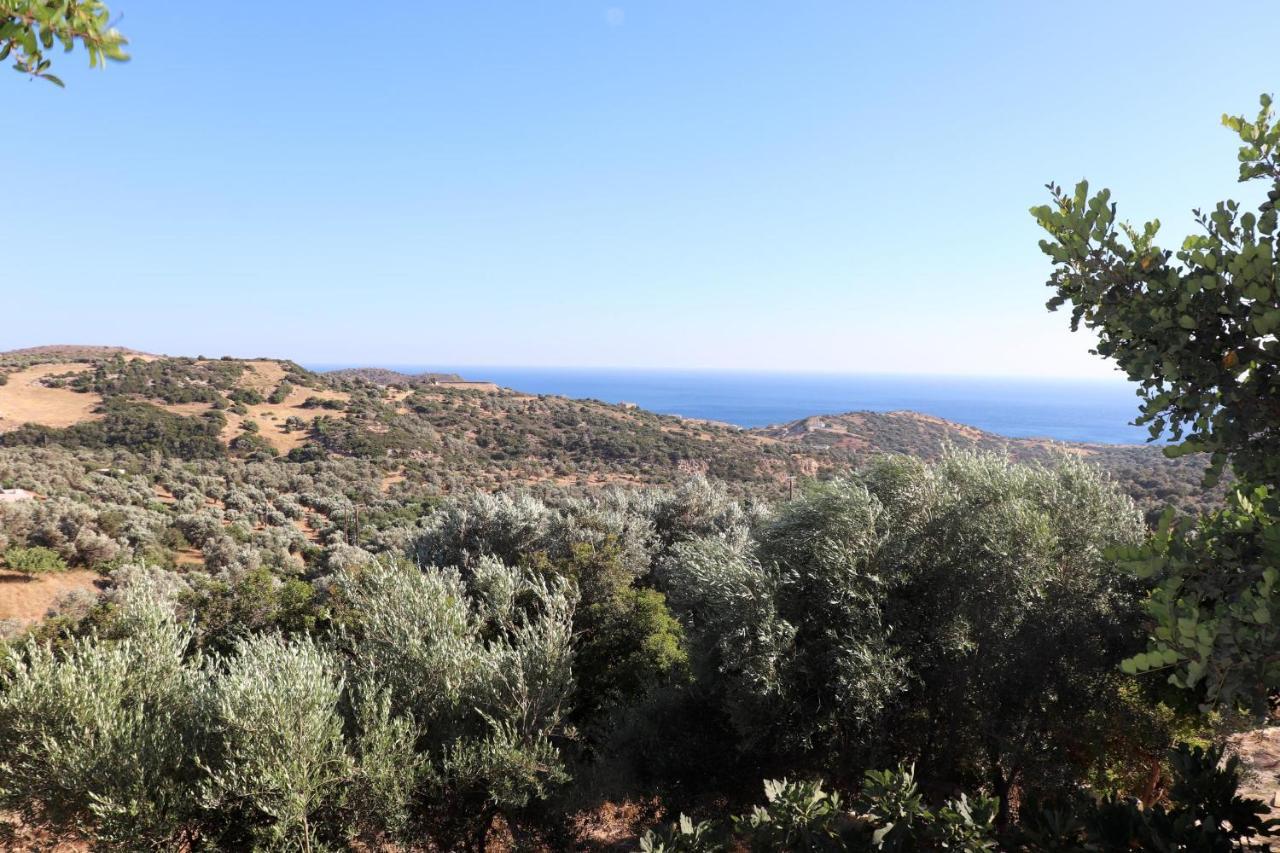 Amathianis Villa Триопетра Екстериор снимка